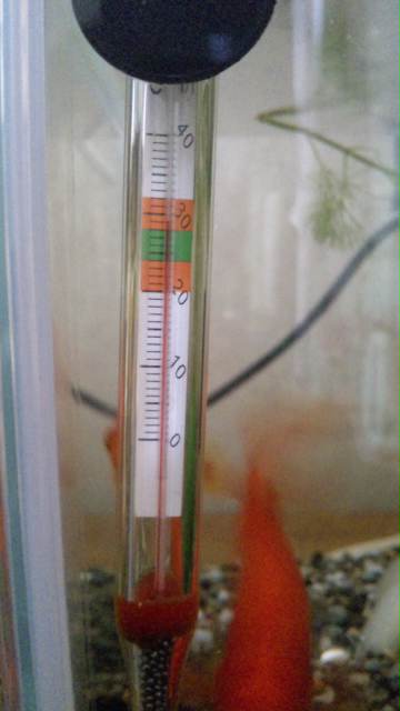 110810_152407.jpg