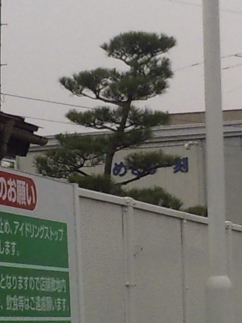 100930_122237.jpg
